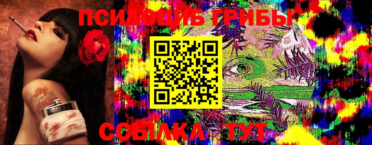 Галлюциногенные грибы ЛСД  Псилоцибиновые грибы Psilocybine cubensis  Вход с VPN  Россия 